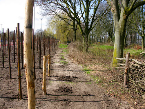 het nieuwe pad tussen de appelbomen en de houtwal langs het slootje